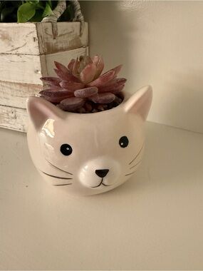 Cute Ceramic Cat Face Planter Pot White Faux Kitty Succulent Holder Decor